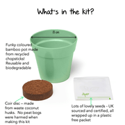 Gardening for Kids Dancing Plant Growing Kit with Pot