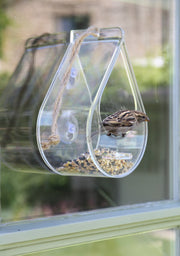 Wildlife World Dewdrop Clear Window or Hanging Bird Feeder