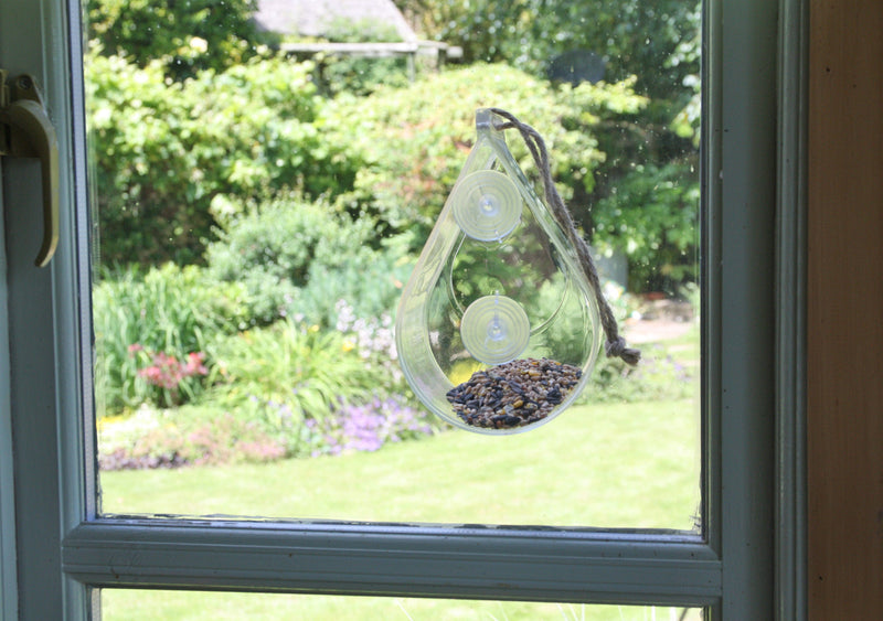 Wildlife World Dewdrop Clear Window or Hanging Bird Feeder