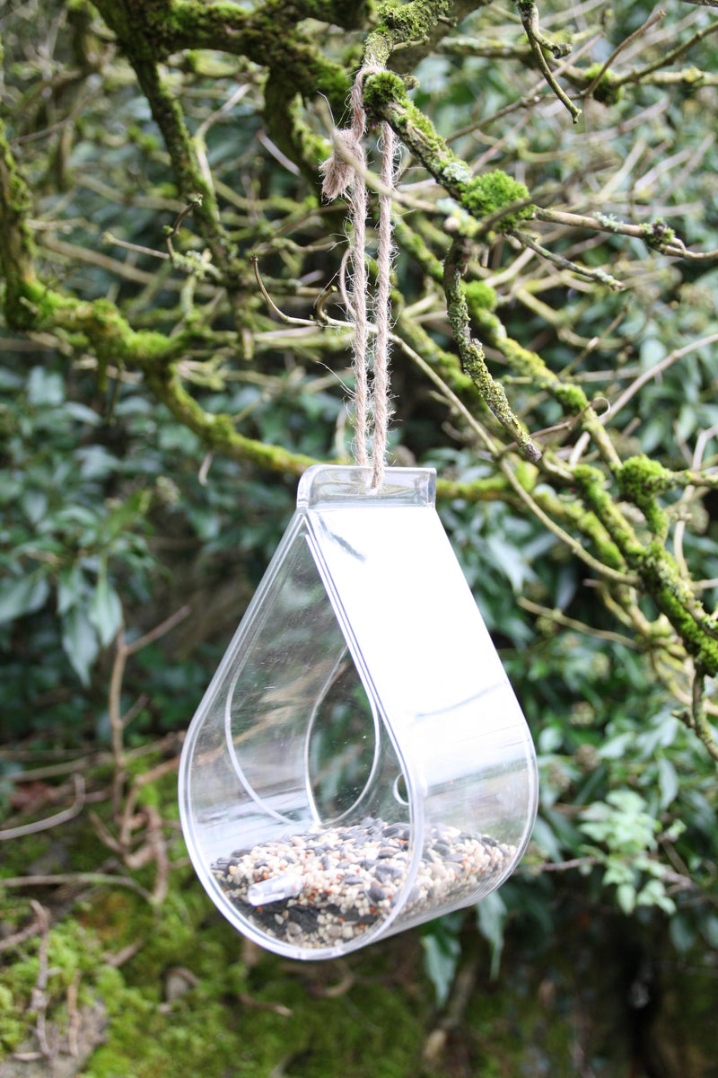 Wildlife World Dewdrop Clear Window or Hanging Bird Feeder