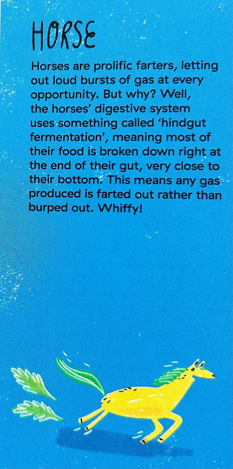 Bookspeed Did You Fart? Card Matching and Memory Game