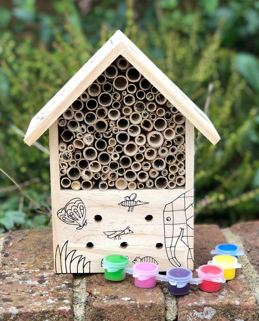 Robert Frederick Elmer the Elephant Paint Your Own Bug Hotel
