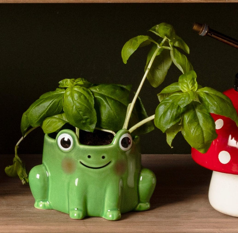 Sass & Belle Frog Mini Planter