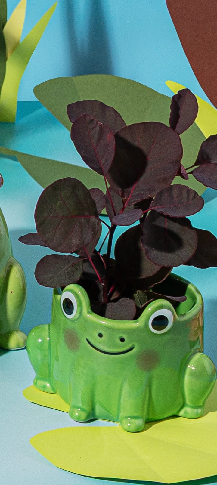 Sass & Belle Frog Mini Planter