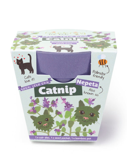 Gardening for Kids Grow Your Own Catnip Plants Children's Growing Kit with Pot