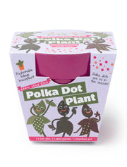 Gardening for Kids Grow Your Own Polka Dot Plant Complete Growing Kit with Pot