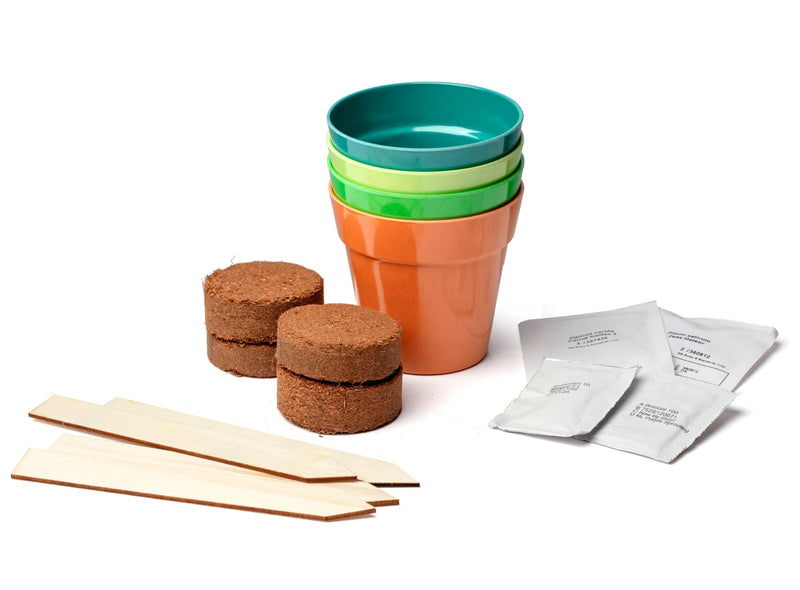 Gardening for Kids Grow Your Own Space Garden Gift Bag