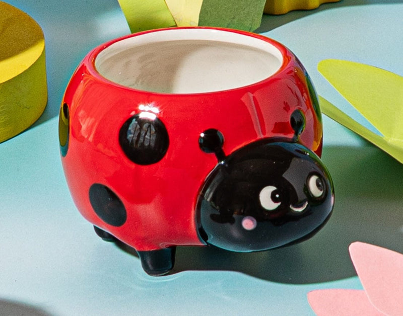 Sass & Belle Ladybird Mini Planter