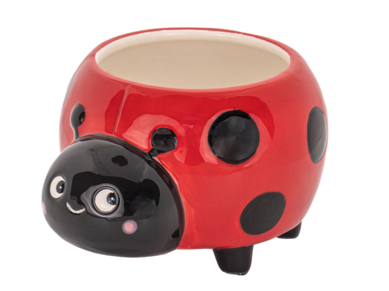 Sass & Belle Ladybird Mini Planter