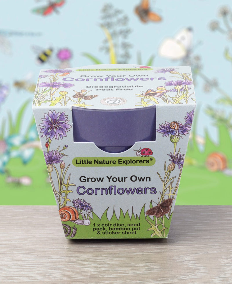 Gardening for Kids Little Nature Explorers Children's Grow Your Own Cornflowers Growing Kit
