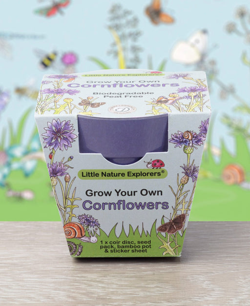 Gardening for Kids Little Nature Explorers Children's Grow Your Own Cornflowers Growing Kit