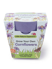 Gardening for Kids Little Nature Explorers Children's Grow Your Own Cornflowers Growing Kit