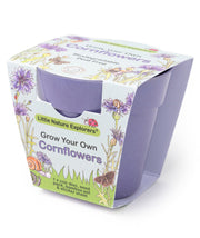 Gardening for Kids Little Nature Explorers Children's Grow Your Own Cornflowers Growing Kit