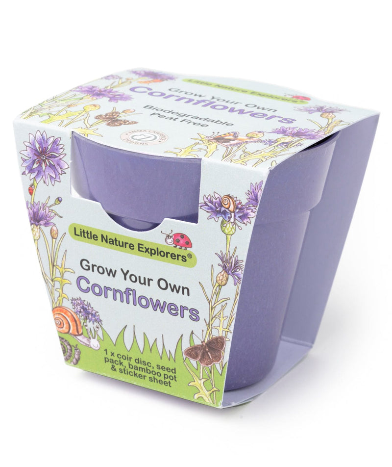 Gardening for Kids Little Nature Explorers Children's Grow Your Own Cornflowers Growing Kit