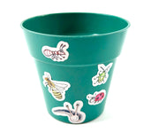 Gardening for Kids Little Nature Explorers Grow Your Own Forget Me Nots Growing Kit