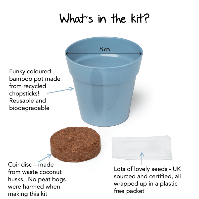 Gardening for Kids Little Nature Explorers Grow Your Own Forget Me Nots Growing Kit