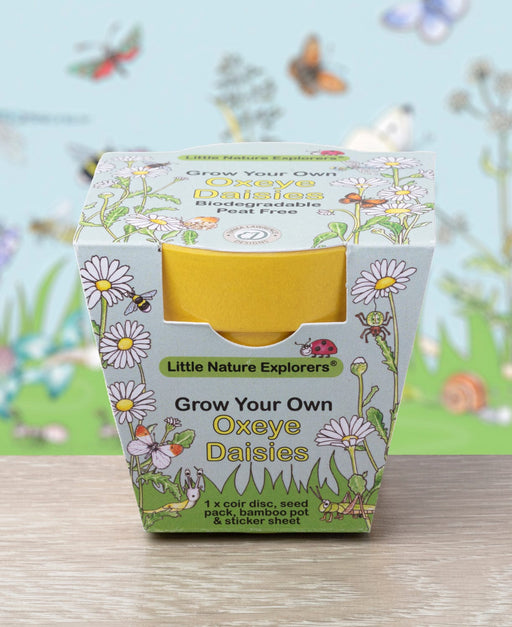 Gardening for Kids Little Nature Explorers Grow Your Own Oxeye Daisies Growing Kit