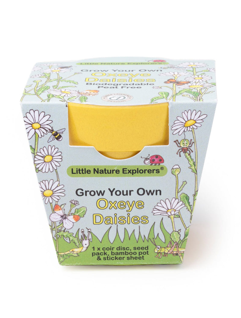 Gardening for Kids Little Nature Explorers Grow Your Own Oxeye Daisies Growing Kit