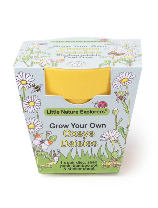 Gardening for Kids Little Nature Explorers Grow Your Own Oxeye Daisies Growing Kit