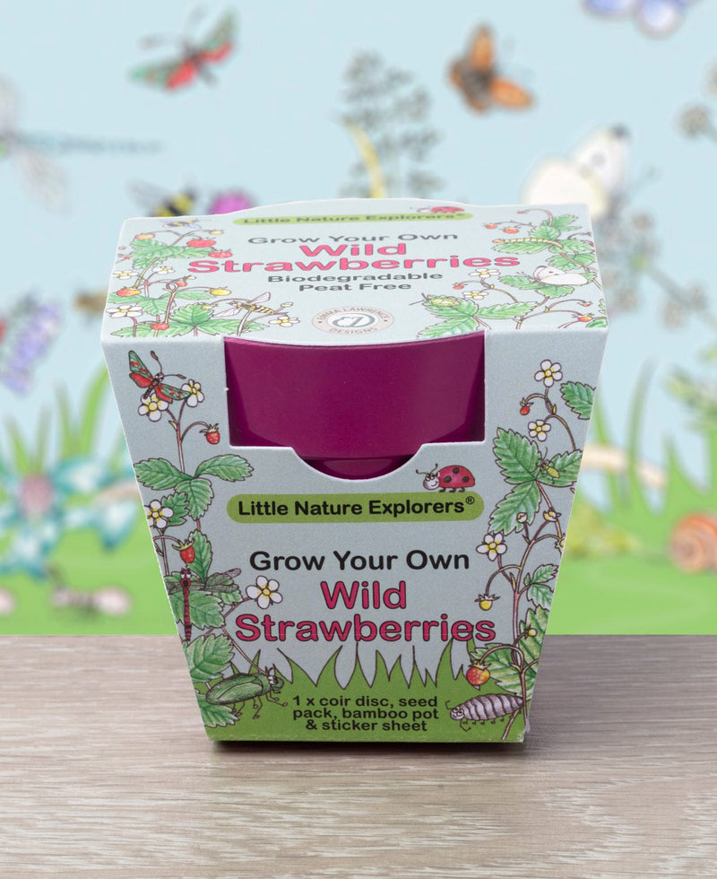 Gardening for Kids Little Nature Explorers Grow Your Own Wild Strawberries Growing Kit