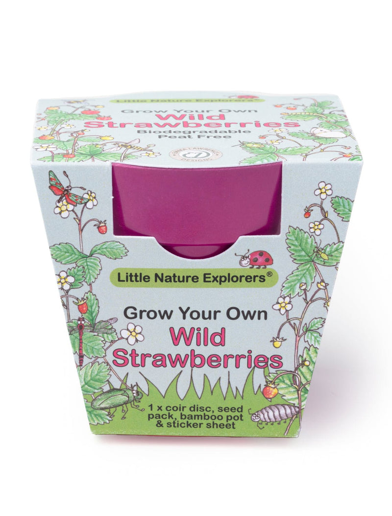 Gardening for Kids Little Nature Explorers Grow Your Own Wild Strawberries Growing Kit