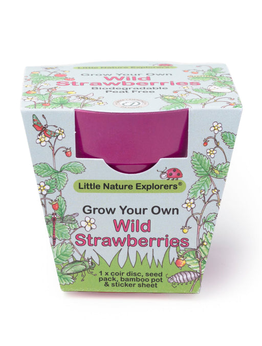 Gardening for Kids Little Nature Explorers Grow Your Own Wild Strawberries Growing Kit