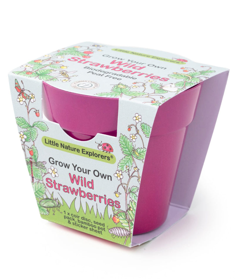 Gardening for Kids Little Nature Explorers Grow Your Own Wild Strawberries Growing Kit