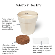 Gardening for Kids Little Nature Explorers Grow Your Own Wild Strawberries Growing Kit