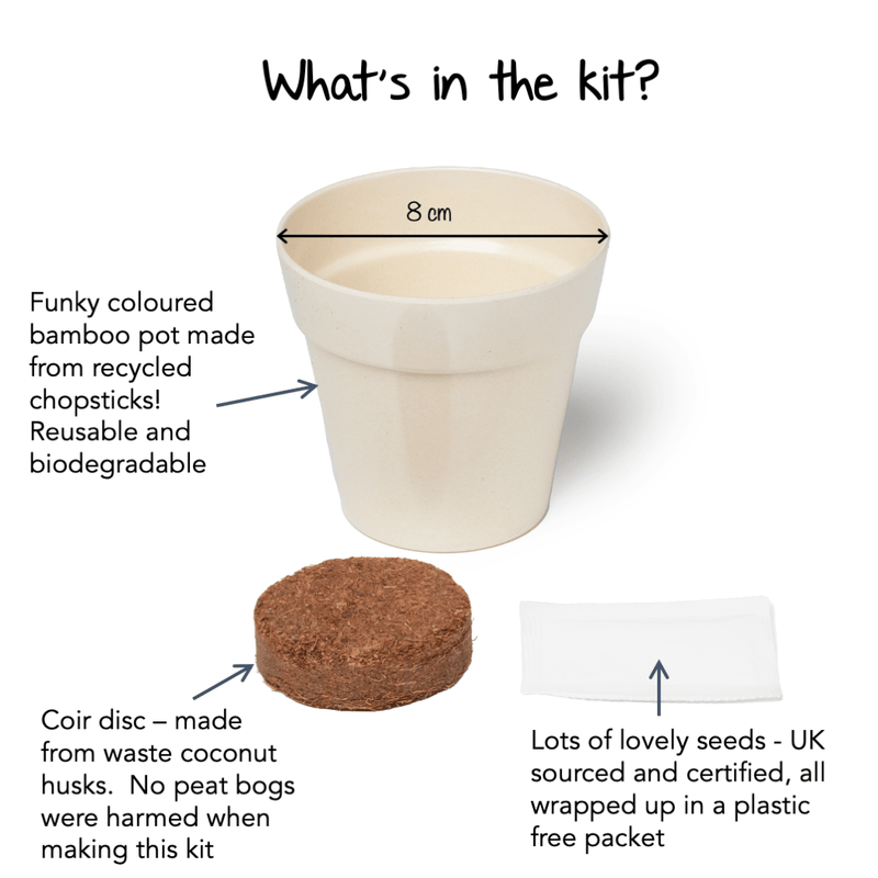 Gardening for Kids Little Nature Explorers Grow Your Own Wild Strawberries Growing Kit