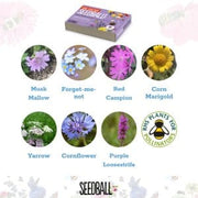 Seedball Make Your Own Seedballs Kit - Flowers for Butterflies
