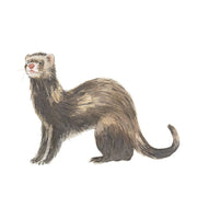 Bookspeed Match a Track Near You Game