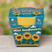Gardening for Kids Mini Sunflower Growing Kit with Pot
