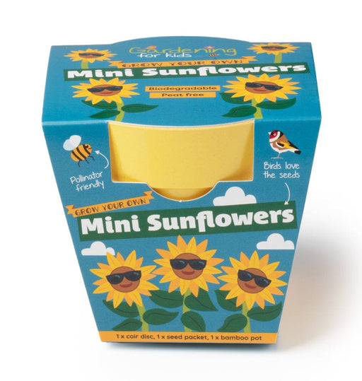 Gardening for Kids Mini Sunflower Growing Kit with Pot