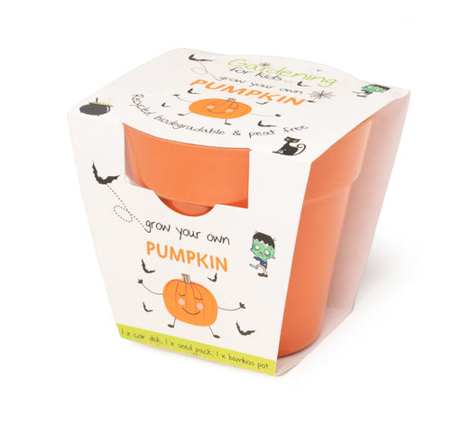 Gardening for Kids Orange Pumpkin Growing Kit with Pot