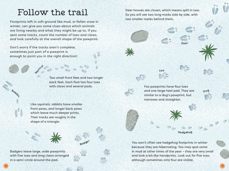 Bookspeed Out and About Animal Spotter Children's Nature Book