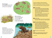 Bookspeed Out and About Animal Spotter Children's Nature Book