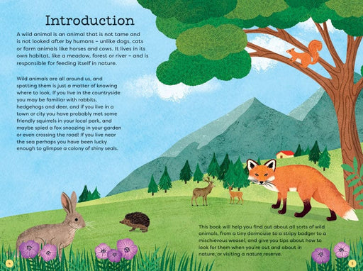 Bookspeed Out and About Animal Spotter Children's Nature Book