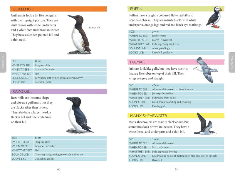 Harper Collins Out and About Bird Spotter Children's Nature Book