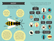 Harper Collins Out and About Minibeast Explorer - children's nature book