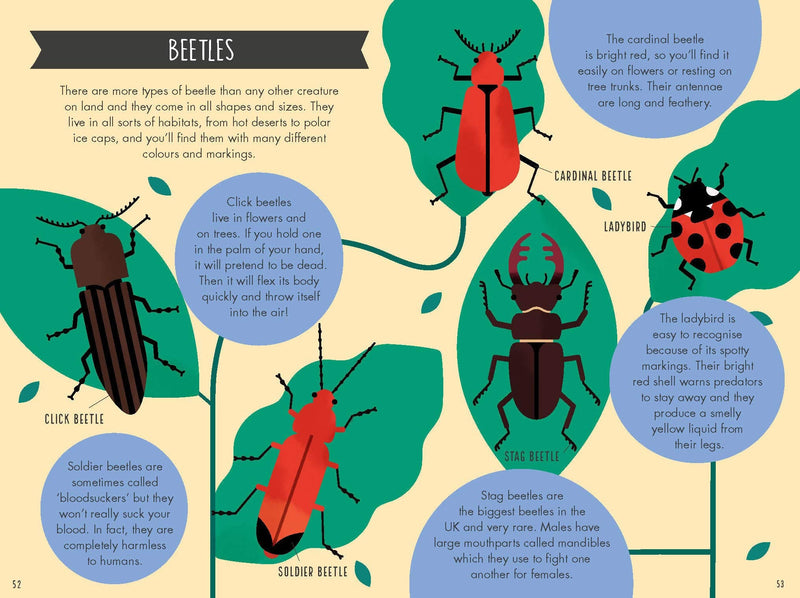 Harper Collins Out and About Minibeast Explorer - children's nature book