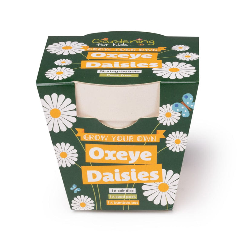 Gardening for Kids Oxeye Daisy Wildflower Growing Kits with Pot
