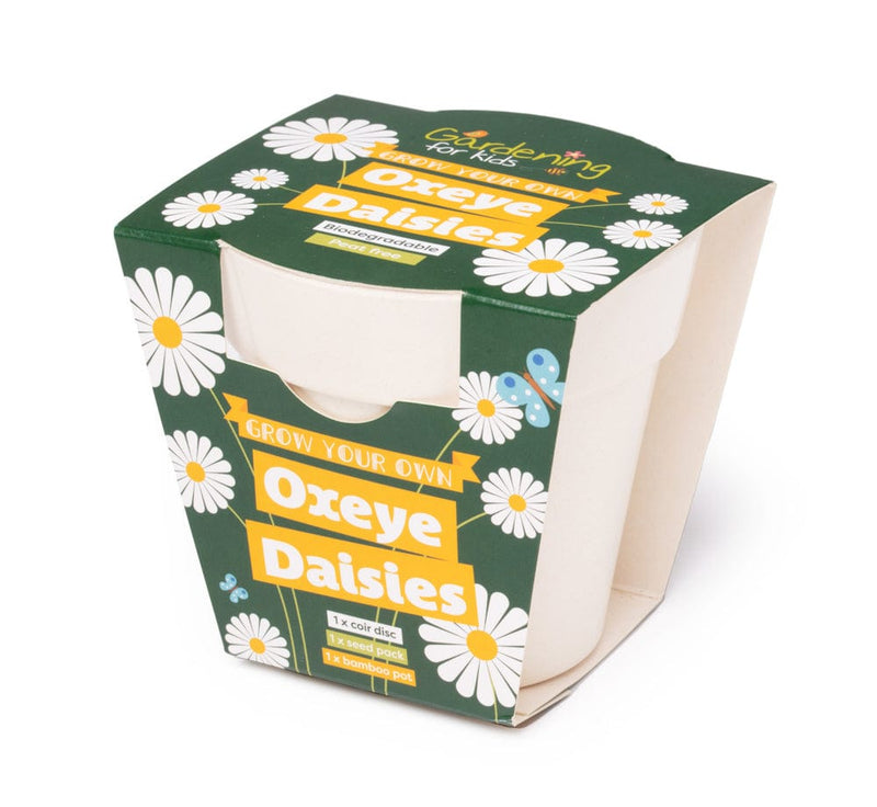 Gardening for Kids Oxeye Daisy Wildflower Growing Kits with Pot