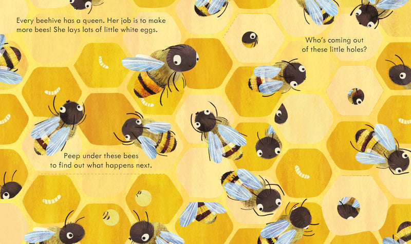 Bookspeed Peep Inside a Beehive Children's Lift the Flap Nature Book