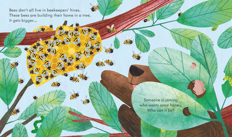 Bookspeed Peep Inside a Beehive Children's Lift the Flap Nature Book