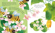 Bookspeed Peep Inside a Beehive Children's Lift the Flap Nature Book