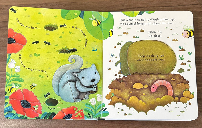 Bookspeed Peep Inside a Tree Lift the Flap Book Children's Nature Book