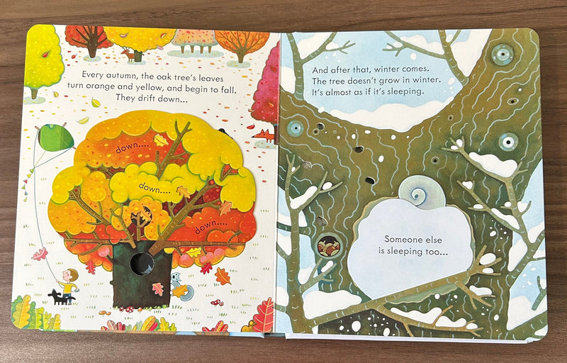 Bookspeed Peep Inside a Tree Lift the Flap Book Children's Nature Book