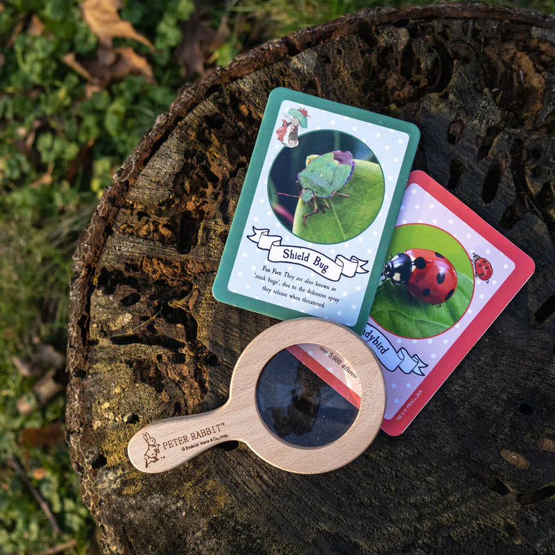Gardening for Kids Peter Rabbit Bug Spotter Kit