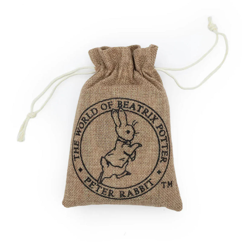Gardening for Kids Peter Rabbit Bug Spotter Kit