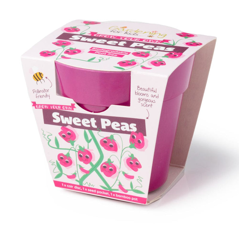 Gardening for Kids Pink Sweet Pea Growing Kit with Pot